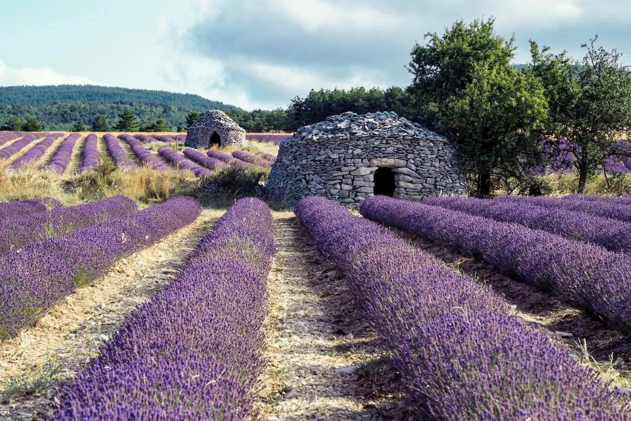 Gite La Bastide De La Loge Au Pied Du Mont Ventoux Sault Frankreich