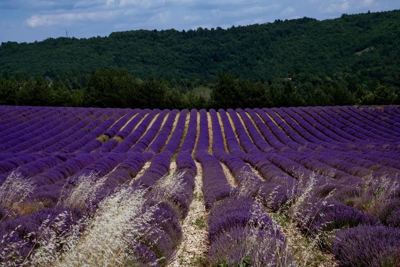 Gite La Bastide De La Loge Au Pied Du Mont Ventoux Sault 0*,  Frankreich
